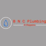 Official bnc logo 2024